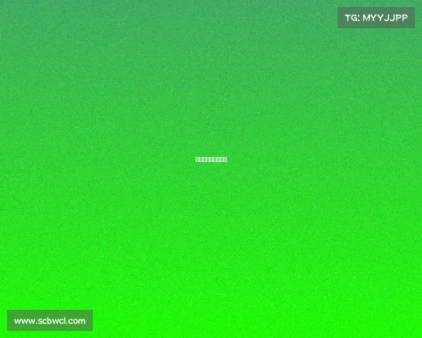 体育赛事品牌发布会